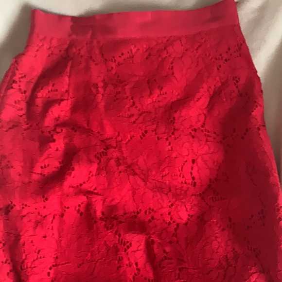 Skirt - Picture 2 of 4